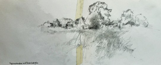 2015-07-09 15.13.08 (2)