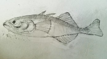 2015-08-06 19.21.39 (2)